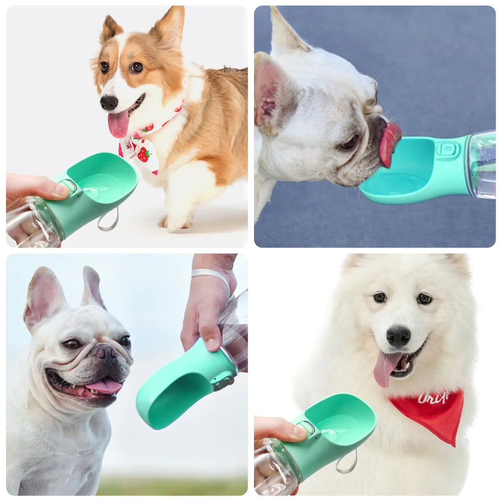 Portable water bottle for dogs