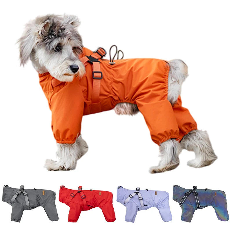 Dog Raincoat with Harness