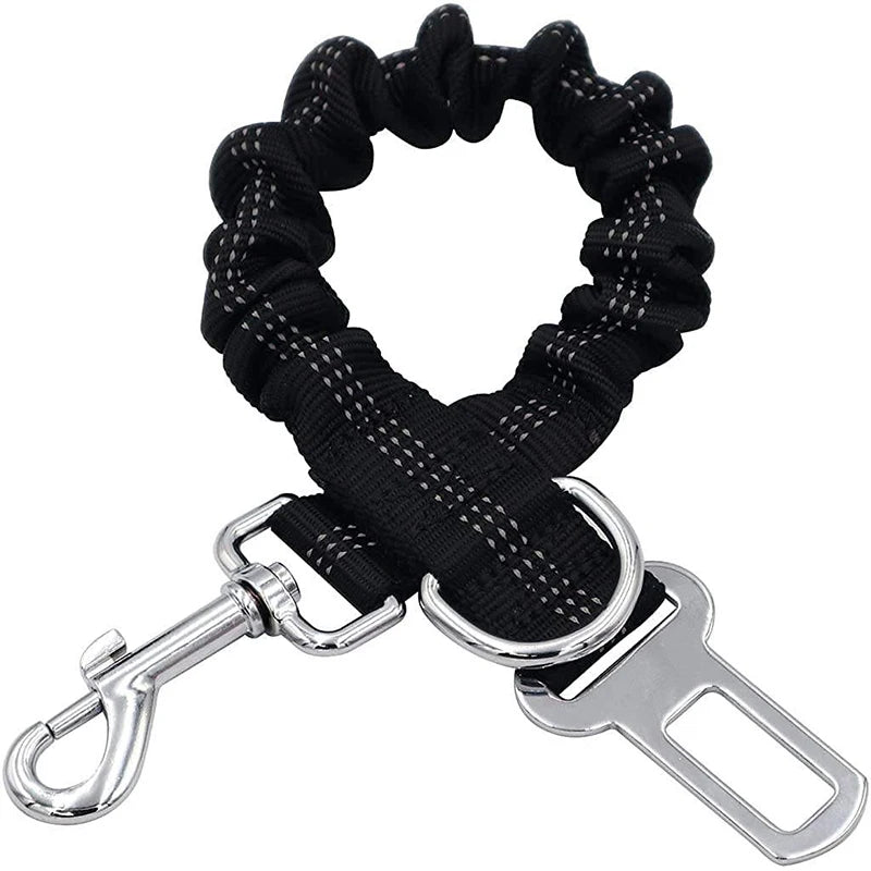 Dog Safety Leash