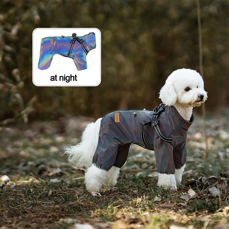 Dog Raincoat with Harness