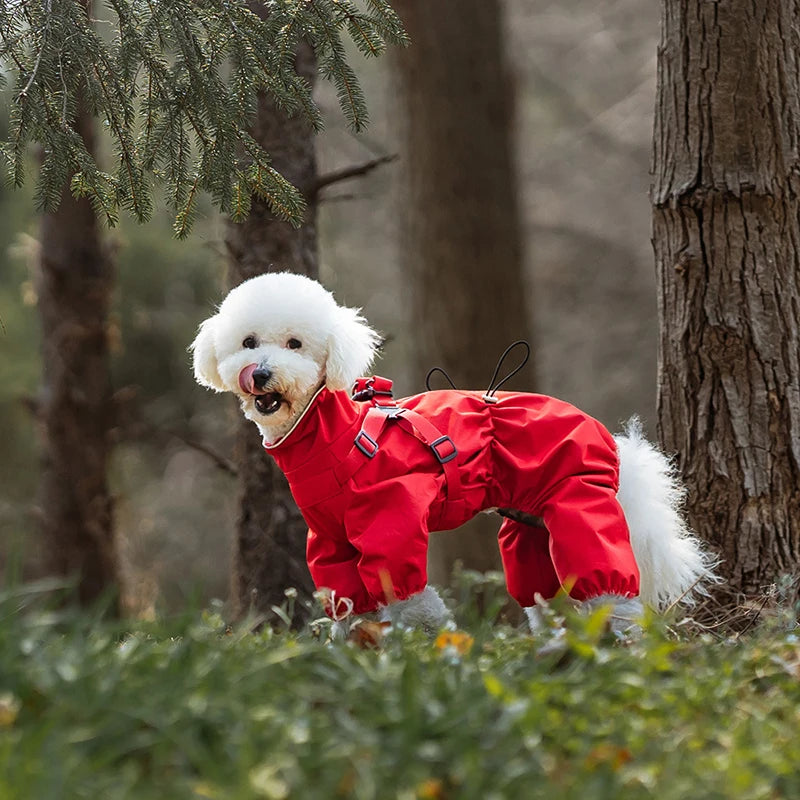 Dog Raincoat with Harness