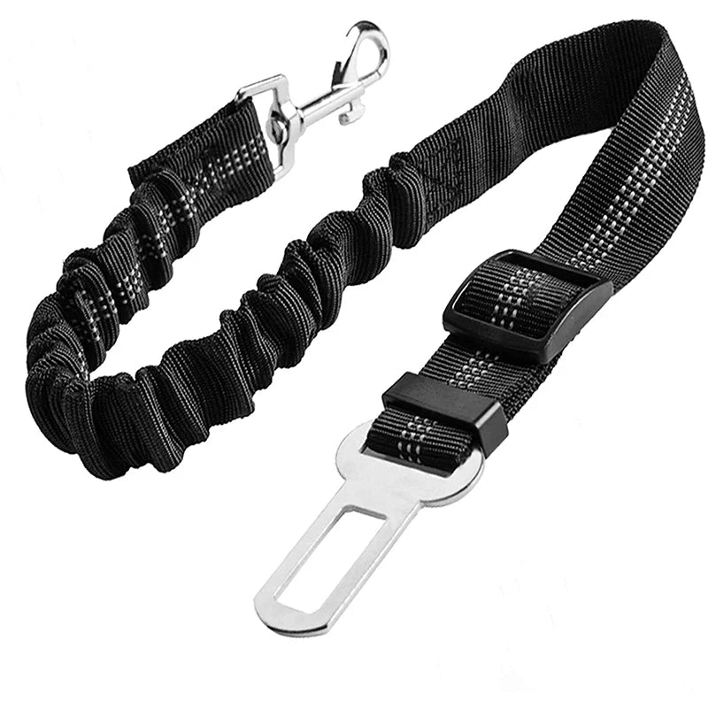 Dog Safety Leash