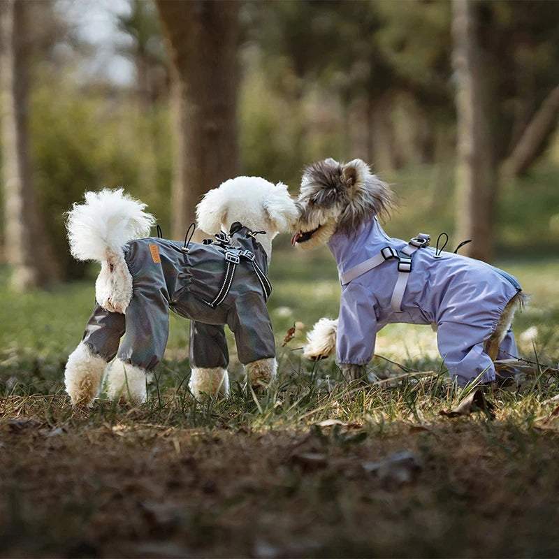 Dog Raincoat with Harness