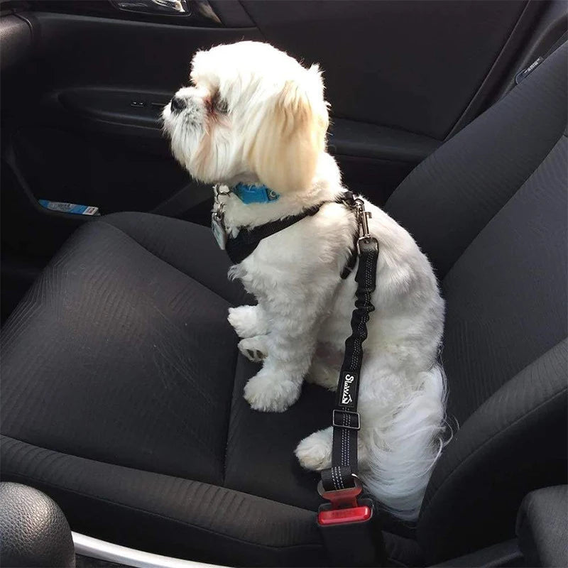 Dog Safety Leash